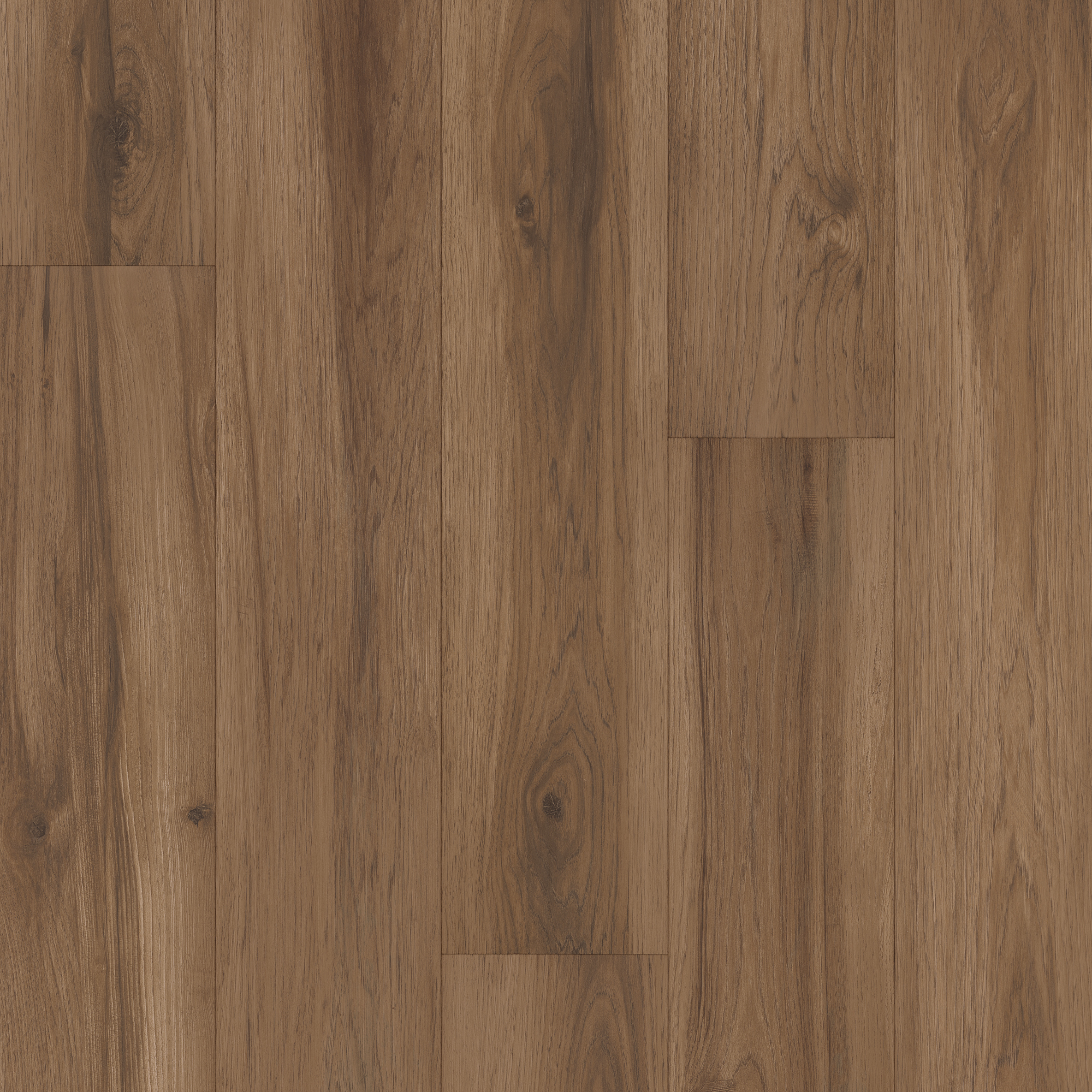 Mannington Atlas — Mountain Peak
